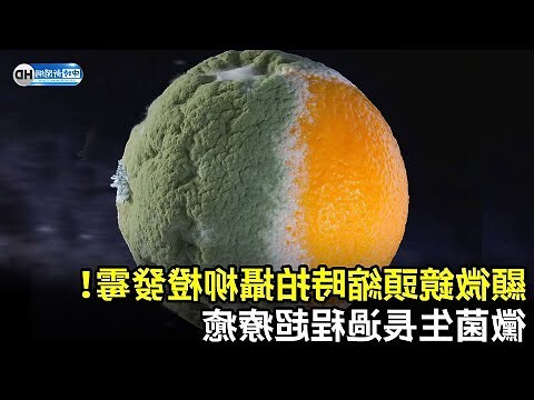 水果 發霉